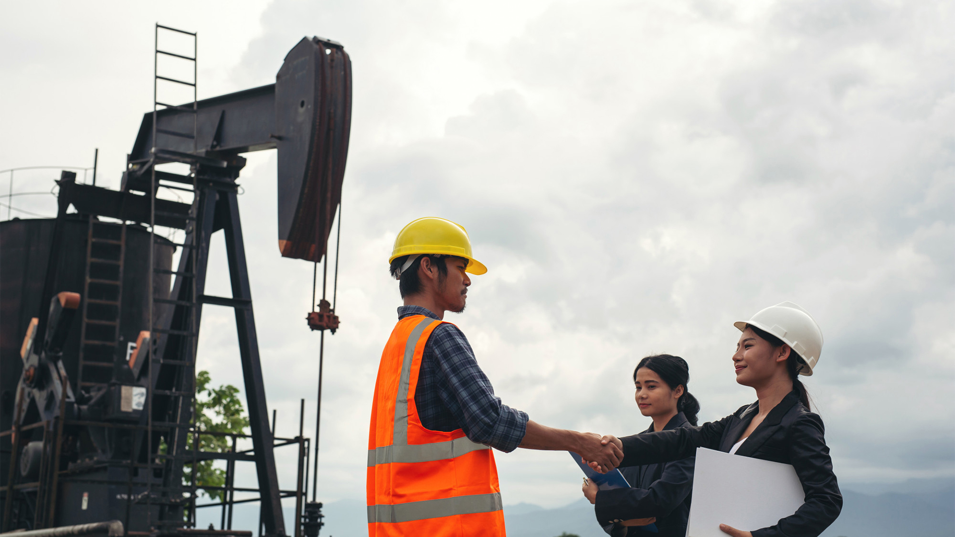 Oil & Gas Law For Professionals