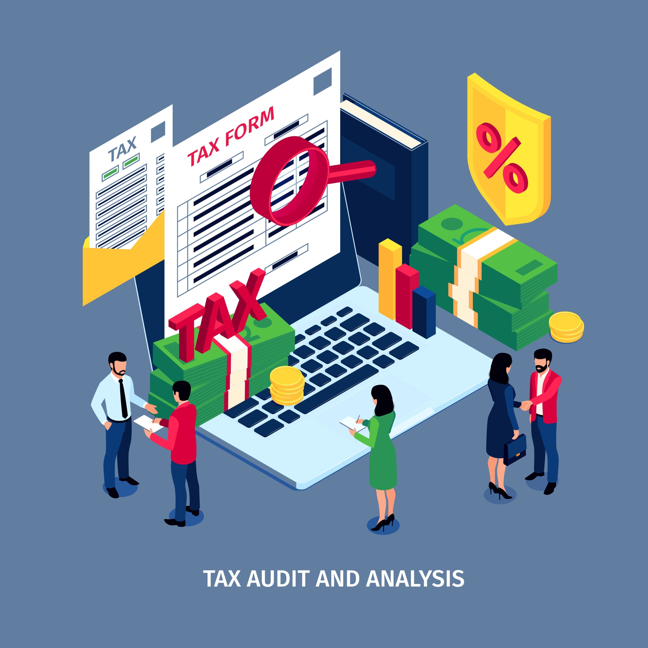Tax Audit Mastery From Beginner To Professional