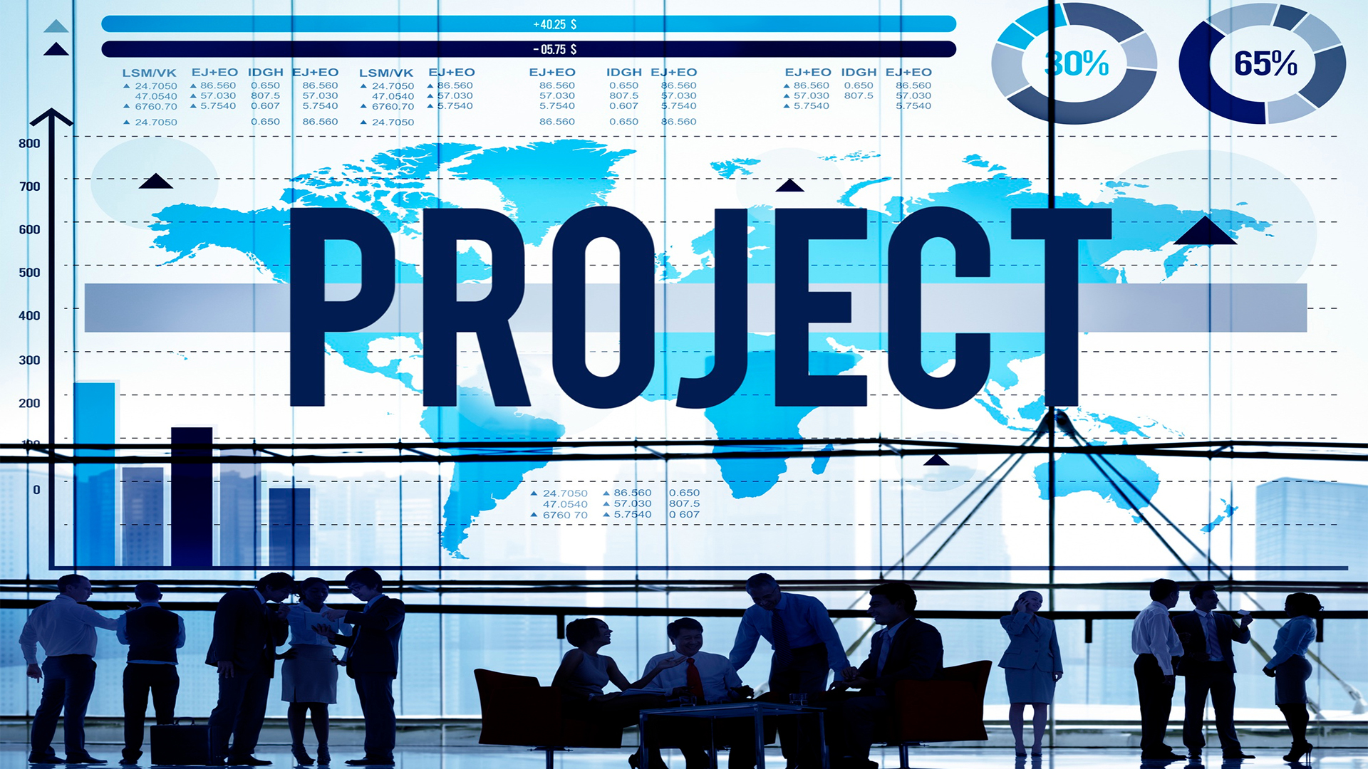 Accelerate International PPP Projects & Infrastructure Management Success